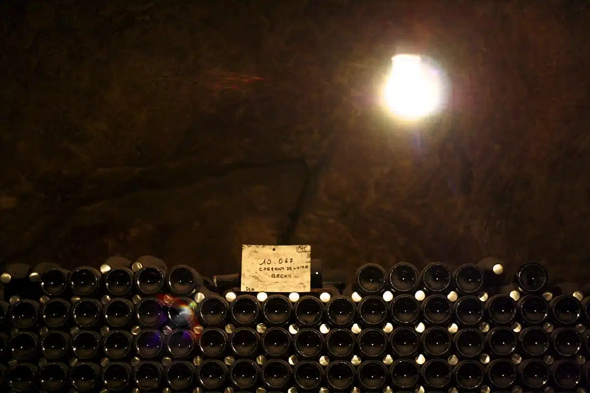 les secrets des vins de chateauneuf du pape