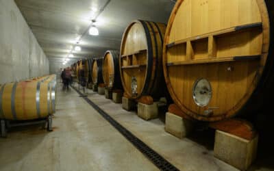 Clos Du Calvaire 2022 : Tous les vins disponibles