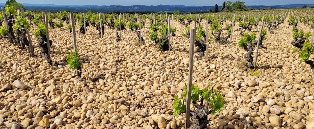 Quels sont les terroirs caractéristiques de Châteauneuf-du-Pape ?