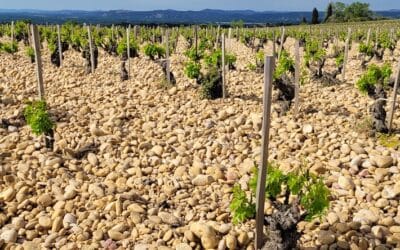 Quels sont les terroirs caractéristiques de Châteauneuf-du-Pape ?