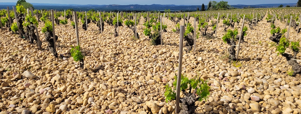 terroir chateauneuf du pape