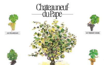 What 13 grape varieties are authorized in the Châteauneuf-du-Pape appellation?