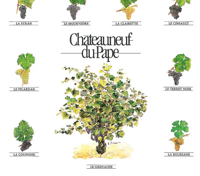 What 13 grape varieties are authorized in the Châteauneuf-du-Pape appellation?