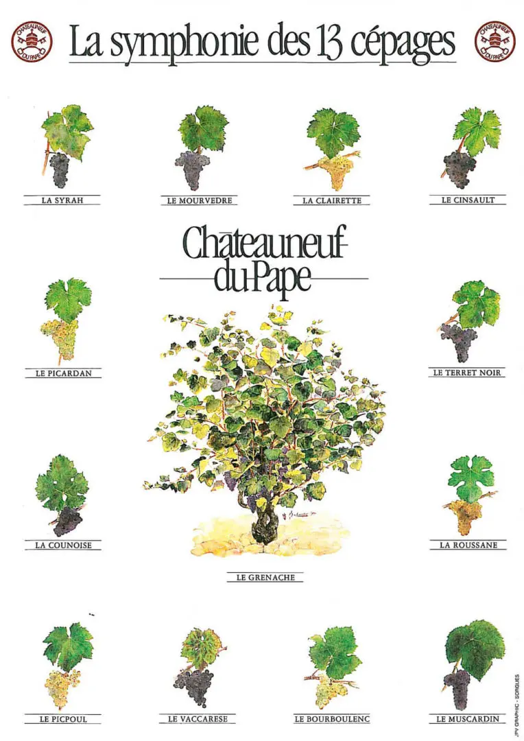 Cépages Châteauneuf du Pape BioLes cépages