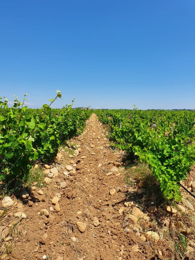 Les Argiles Rouges