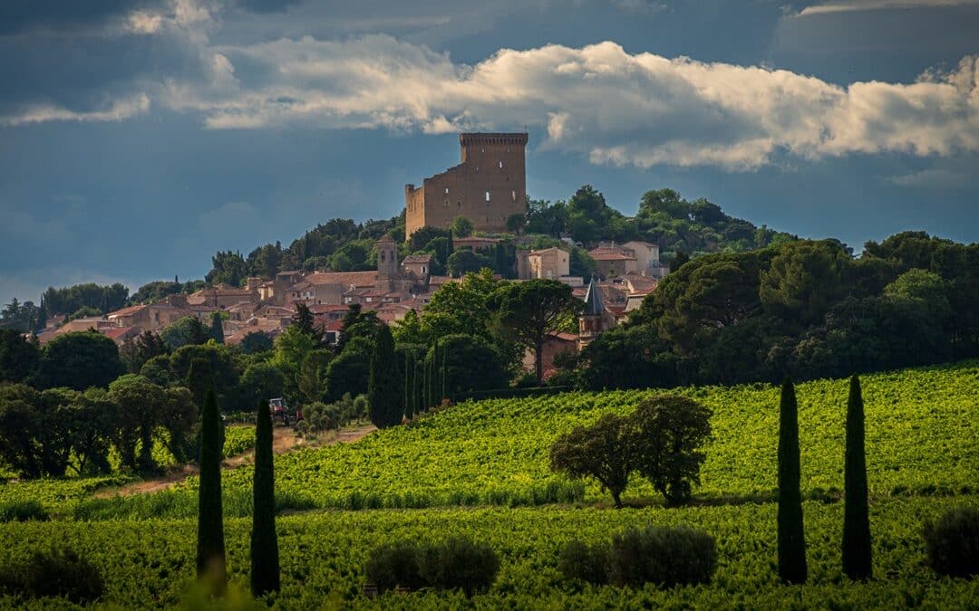 Où est produit le vin Châteauneuf-du-Pape ?